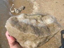 Ближний Восток становится ближе. Часть 3