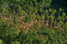 Из Мьянмы с любовью... Часть 4