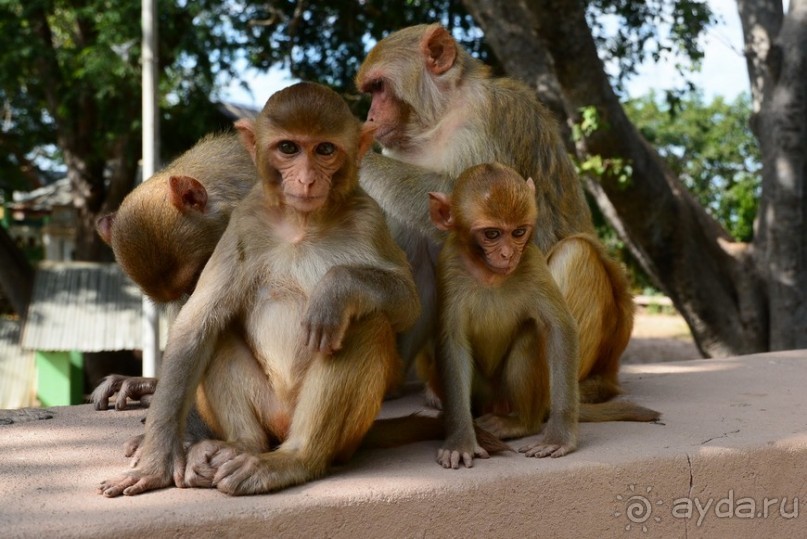 Из Мьянмы с любовью... Часть 4