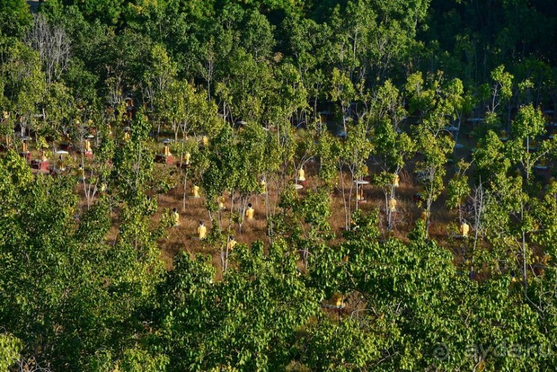 Из Мьянмы с любовью... Часть 4