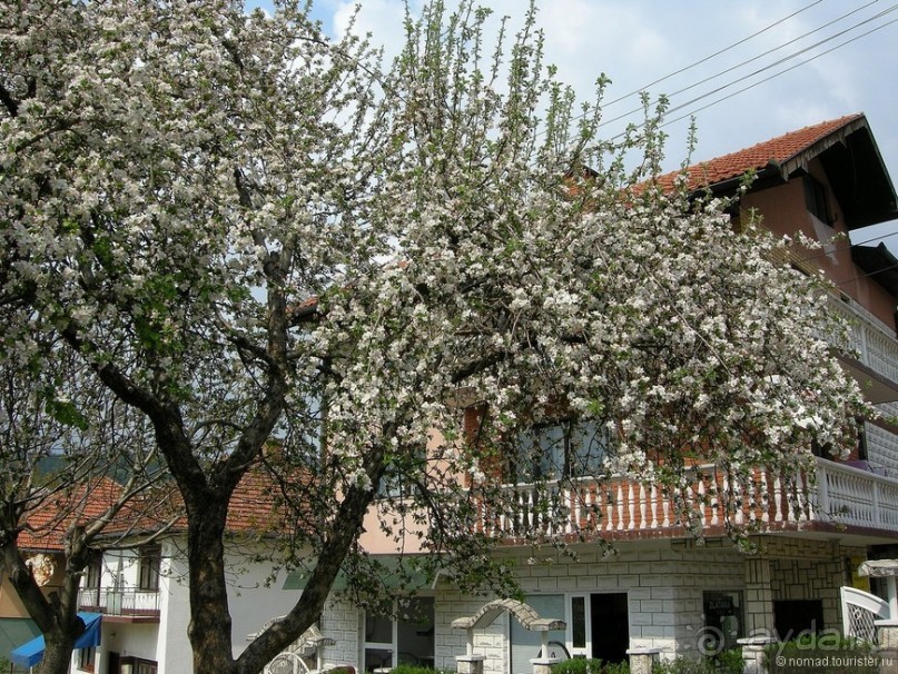 Черногорские хроники. Возвращение. Часть 1