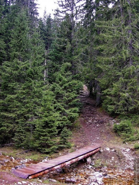 Черногорские хроники. Возвращение. Часть 1