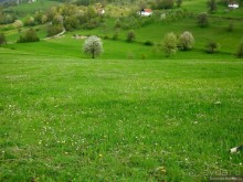 Черногорские хроники. Возвращение. Часть 1