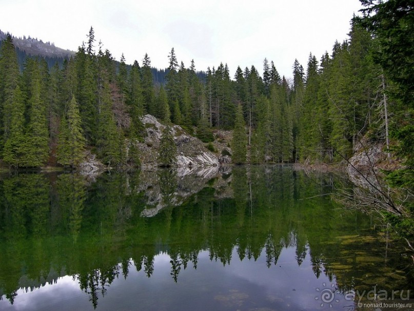 Черногорские хроники. Возвращение. Часть 1