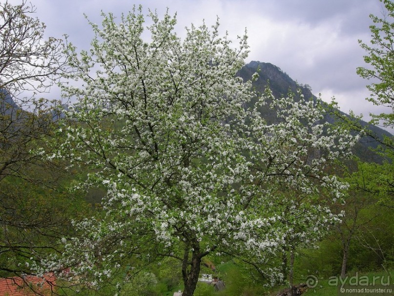 Черногорские хроники. Возвращение. Часть 1