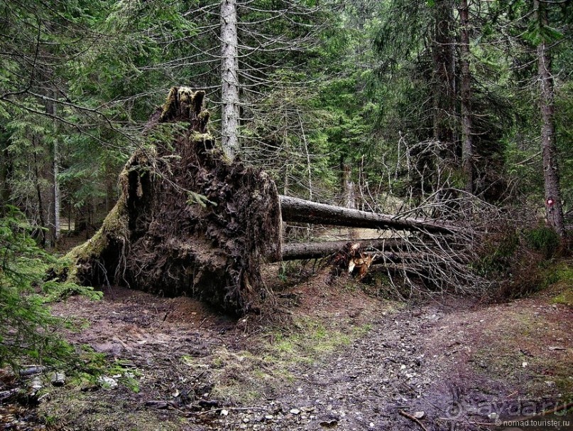 Черногорские хроники. Возвращение. Часть 1