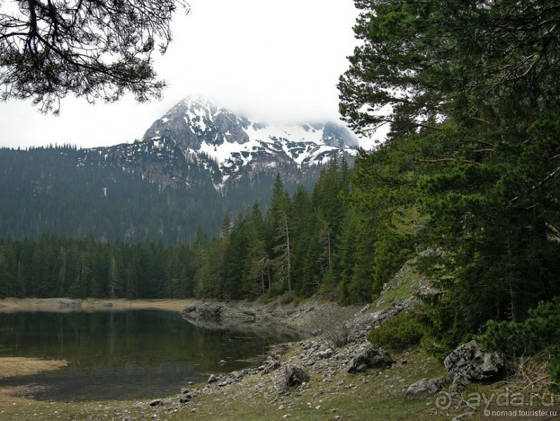 Черногорские хроники. Возвращение. Часть 1