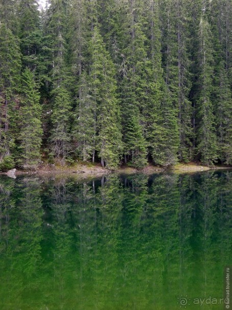 Черногорские хроники. Возвращение. Часть 1