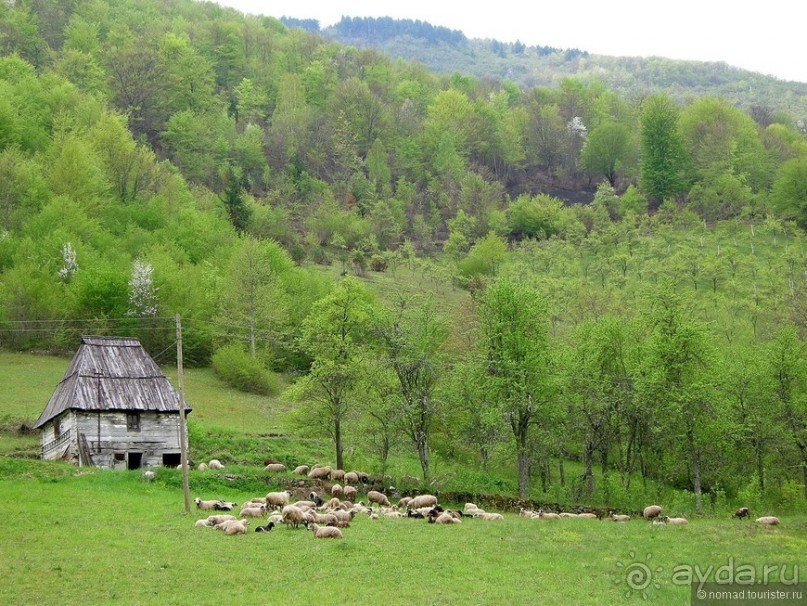 Черногорские хроники. Возвращение. Часть 1