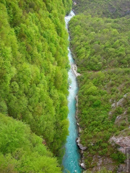 Черногорские хроники. Возвращение. Часть 1