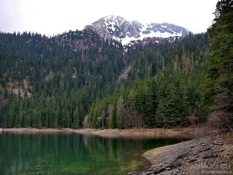 Черногорские хроники. Возвращение. Часть 1