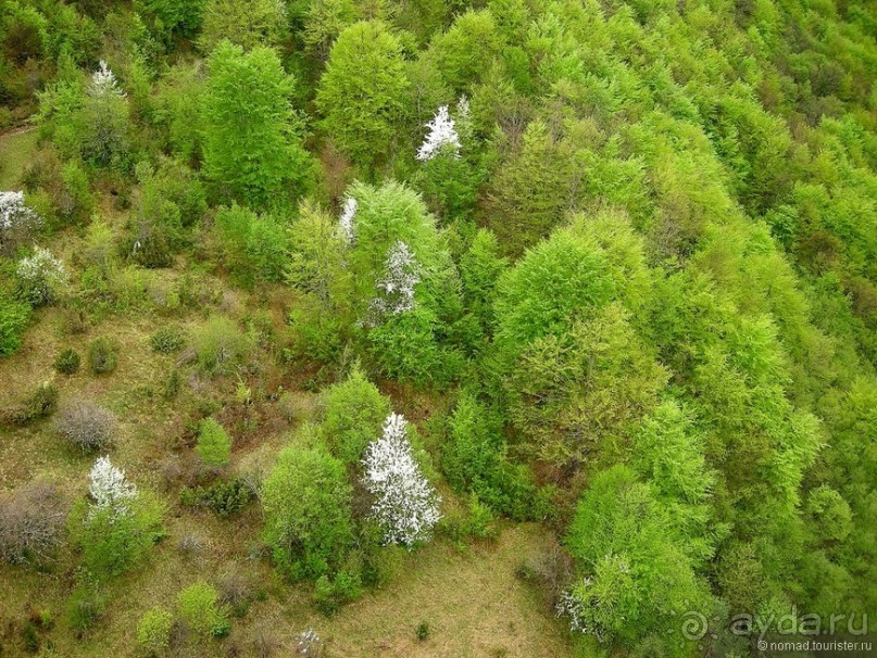 Черногорские хроники. Возвращение. Часть 1