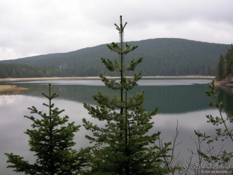 Черногорские хроники. Возвращение. Часть 1