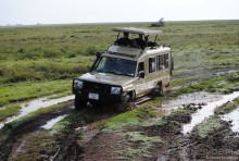 Акуна матата, или даешь сафари! Часть 3