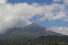 Акуна матата, или даешь сафари! Часть 3