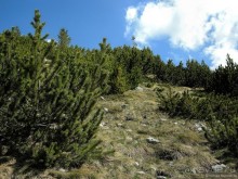 Франшиза или жизнь. На Ситроене по Черногории. Часть 3