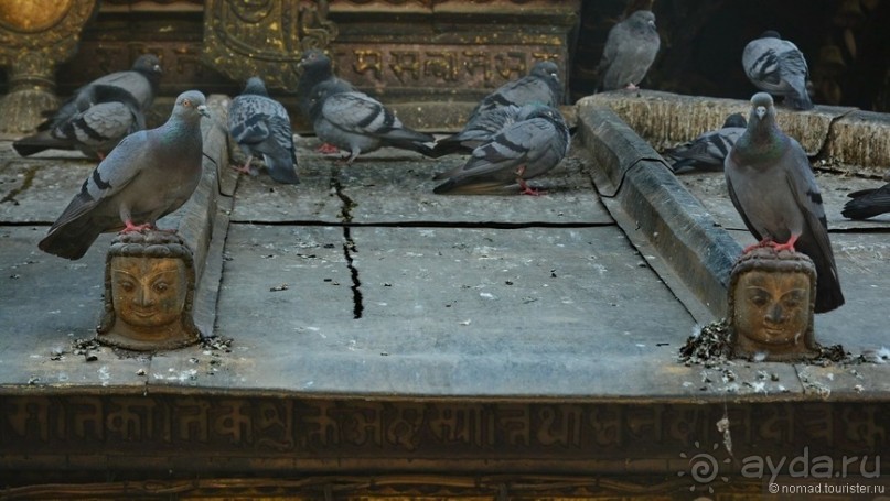 Затерянные Гималаи, Непал-Бутан. Часть 13, заключительная