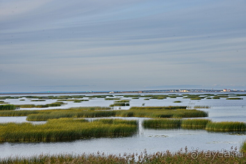 Петербуржские зарисовки. Кронштадт