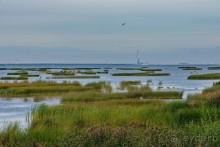 Петербуржские зарисовки. Кронштадт