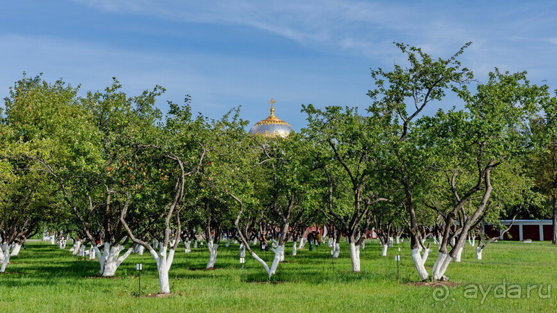Петербуржские зарисовки. Кронштадт