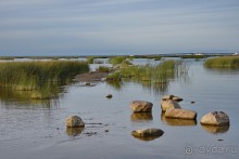 Петербуржские зарисовки. Кронштадт