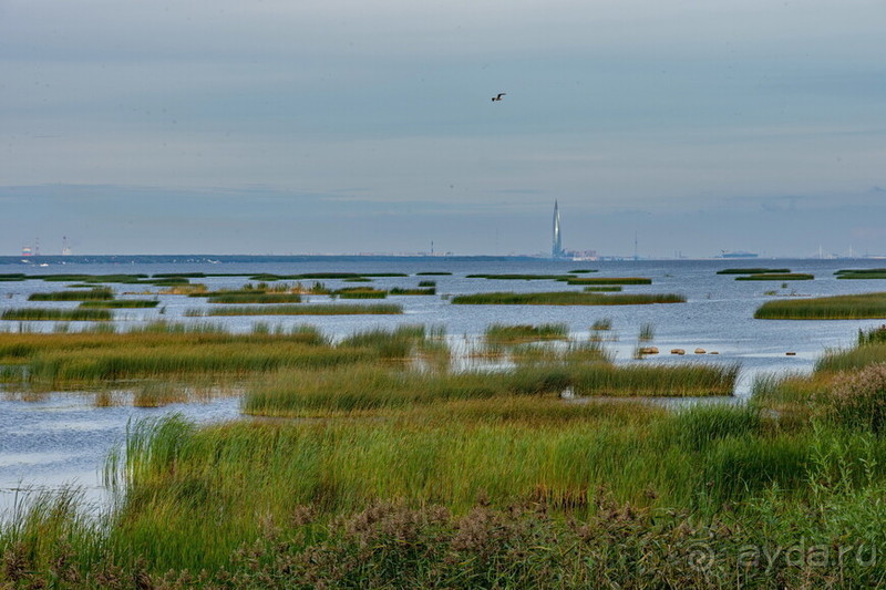 Петербуржские зарисовки. Кронштадт