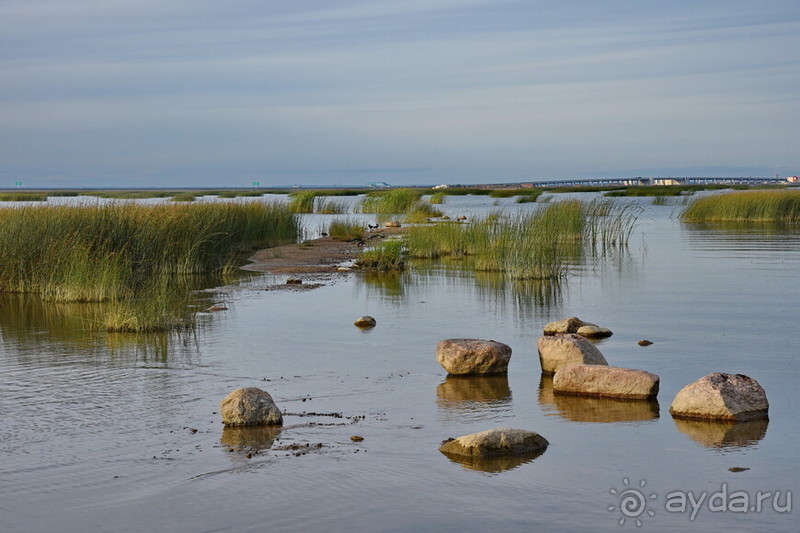 Петербуржские зарисовки. Кронштадт