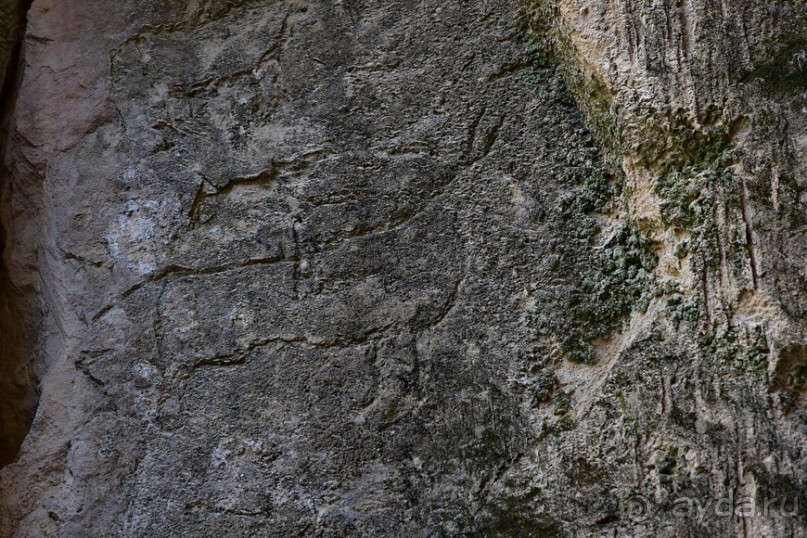 Апшеронские интересы