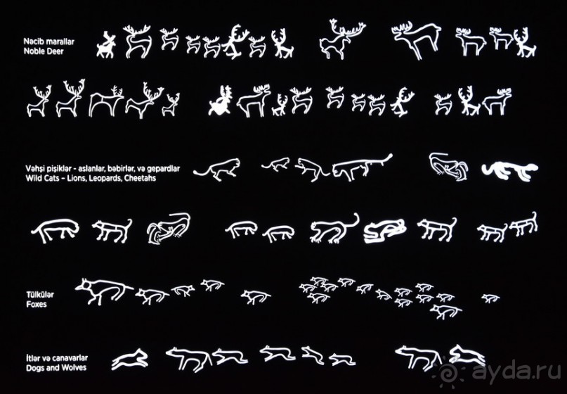 Апшеронские интересы