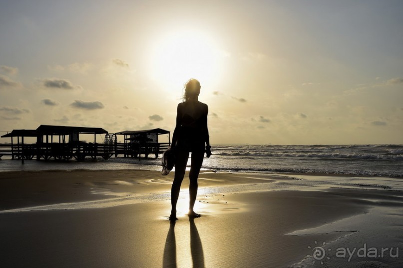 Апшеронские интересы