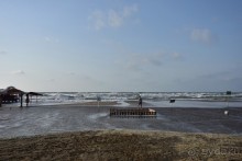 Альбом отзыва "Апшеронские интересы"