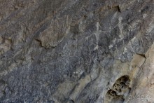 Апшеронские интересы