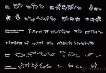 Апшеронские интересы