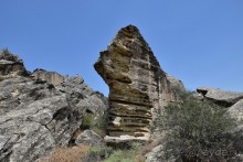 Апшеронские интересы