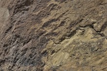 Апшеронские интересы