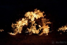 Апшеронские интересы