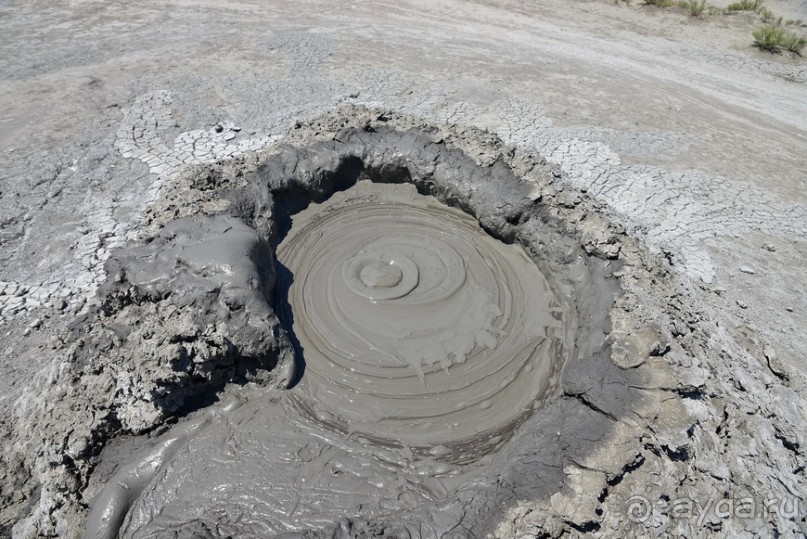 Альбом отзыва "Апшеронские интересы"