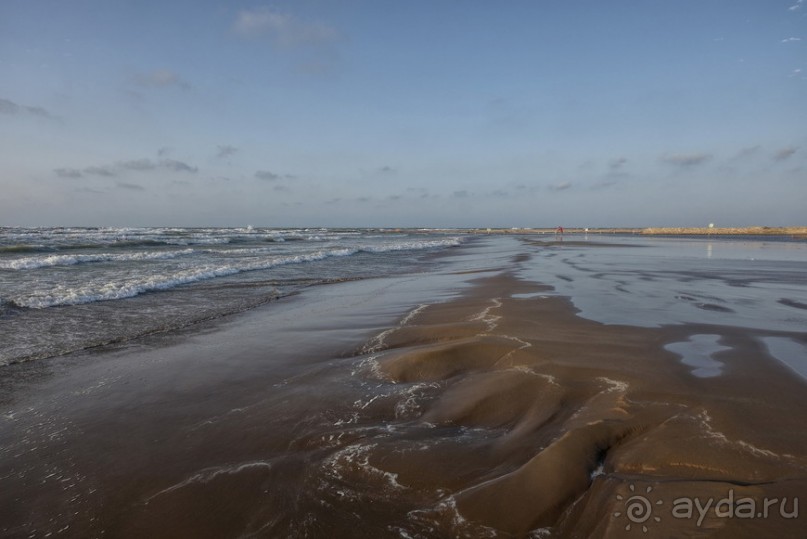 Альбом отзыва "Апшеронские интересы"