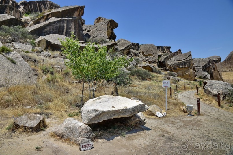 Альбом отзыва "Апшеронские интересы"