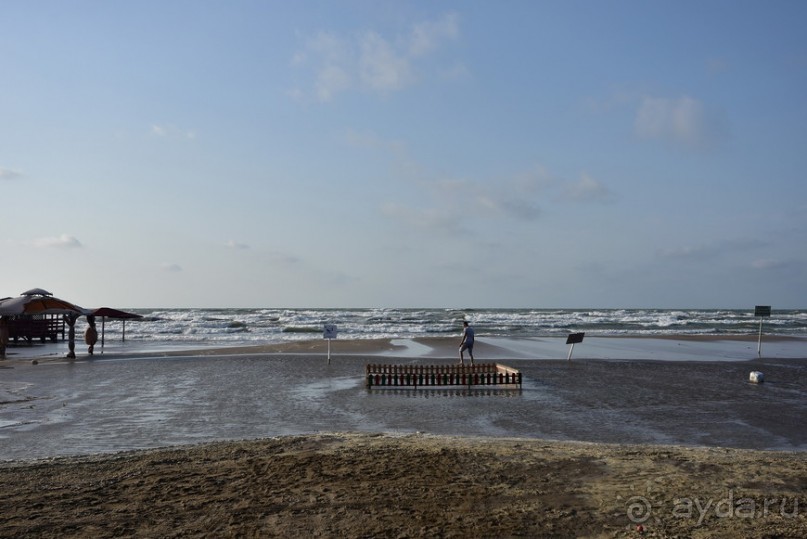 Альбом отзыва "Апшеронские интересы"