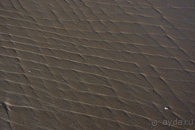 Альбом отзыва "Апшеронские интересы"