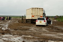 Найваша в мае