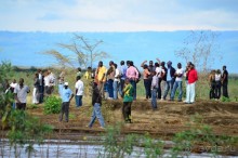 Найваша в мае