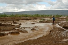 Найваша в мае