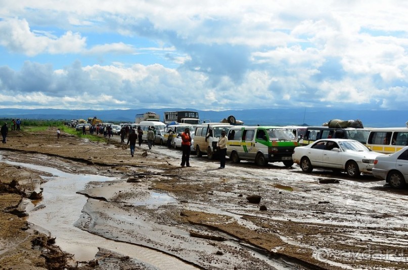 Найваша в мае