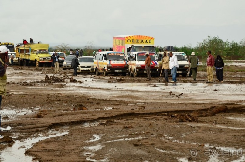 Найваша в мае