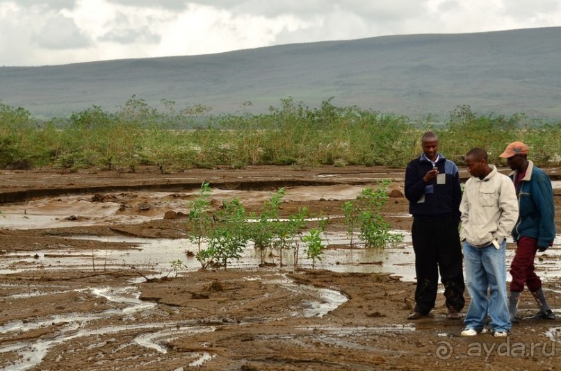 Найваша в мае