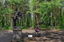 Петербуржские зарисовки. Павловск