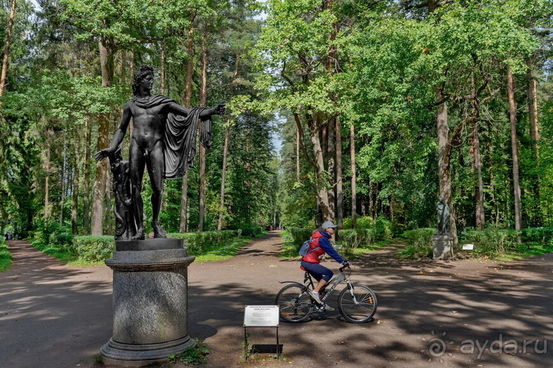 Петербуржские зарисовки. Павловск