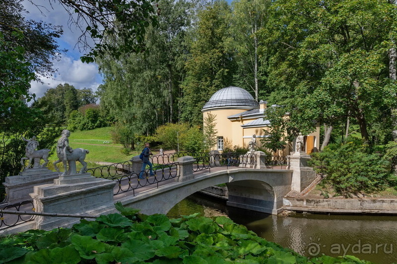 Петербуржские зарисовки. Павловск